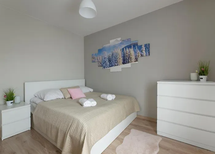 Zakatek 库多瓦-兹德鲁伊